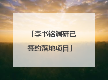 李书铭调研已签约落地项目