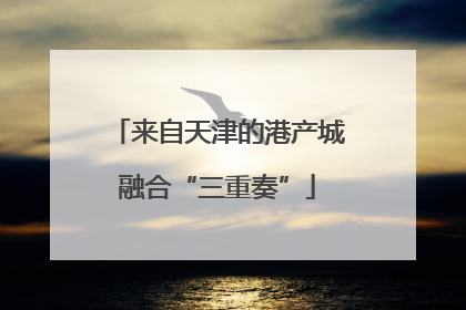 来自天津的港产城融合“三重奏”