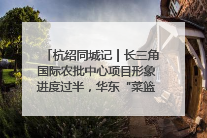 杭绍同城记｜长三角国际农批中心项目形象进度过半，华东“菜篮子”建设加码提速！