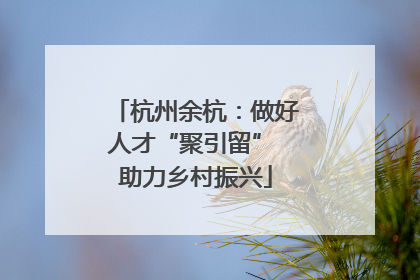杭州余杭：做好人才“聚引留” 助力乡村振兴