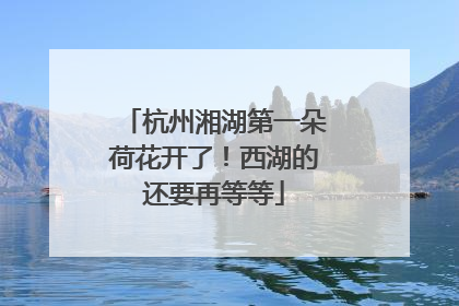杭州湘湖第一朵荷花开了！西湖的还要再等等
