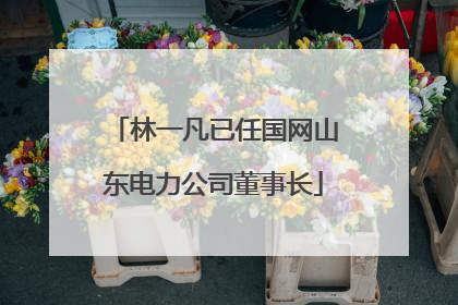 林一凡已任国网山东电力公司董事长