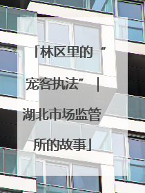 林区里的“宠客执法”｜湖北市场监管所的故事