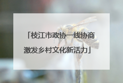 枝江市政协一线协商激发乡村文化新活力
