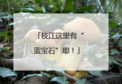 枝江这里有“蓝宝石”耶！