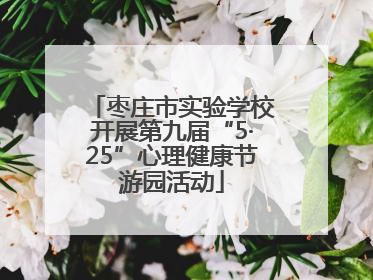枣庄市实验学校开展第九届“5·25”心理健康节游园活动