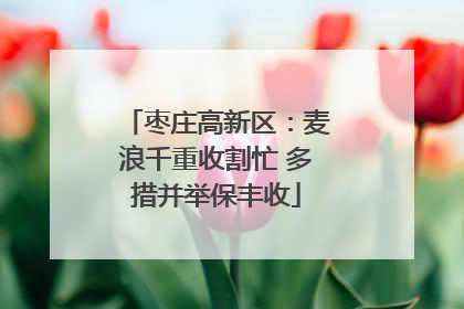 枣庄高新区：麦浪千重收割忙 多措并举保丰收