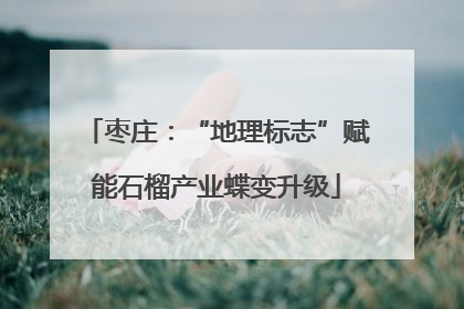 枣庄：“地理标志”赋能石榴产业蝶变升级