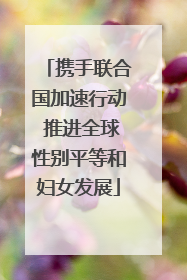 携手联合国加速行动 推进全球性别平等和妇女发展