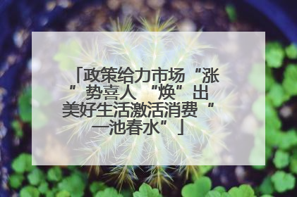 政策给力市场“涨”势喜人 “焕”出美好生活激活消费“一池春水”