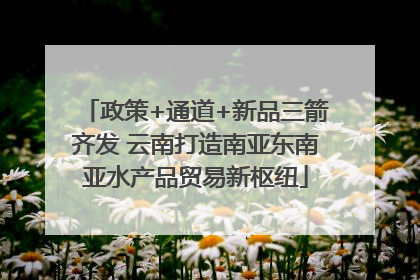 政策+通道+新品三箭齐发 云南打造南亚东南亚水产品贸易新枢纽
