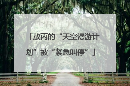 敖丙的“天空漫游计划”被“紧急叫停”