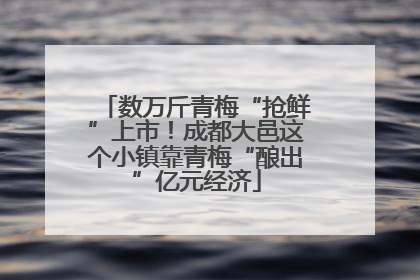 数万斤青梅“抢鲜”上市！成都大邑这个小镇靠青梅“酿出”亿元经济