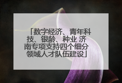 数字经济、青年科技、银龄、种业 济南专项支持四个细分领域人才队伍建设