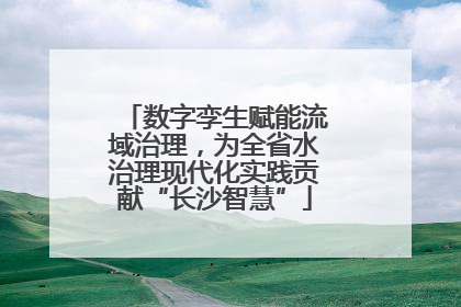 数字孪生赋能流域治理，为全省水治理现代化实践贡献“长沙智慧”