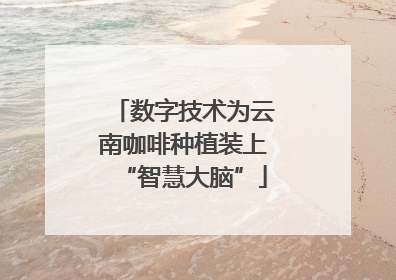 数字技术为云南咖啡种植装上“智慧大脑”