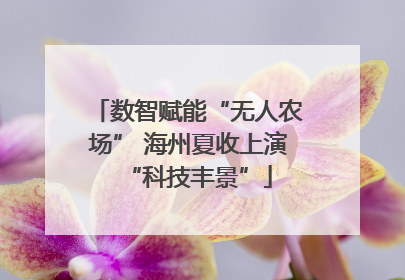 数智赋能“无人农场” 海州夏收上演“科技丰景”