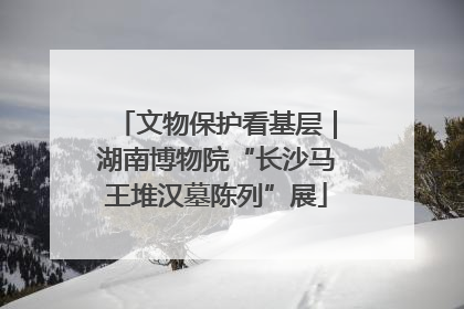 文物保护看基层｜湖南博物院“长沙马王堆汉墓陈列”展