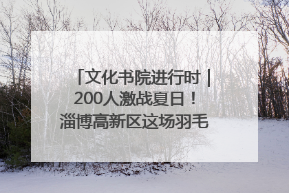 文化书院进行时｜200人激战夏日！淄博高新区这场羽毛球比赛太酷