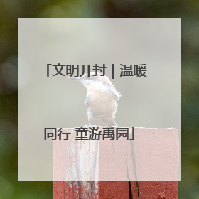 文明开封｜温暖同行 童游禹园