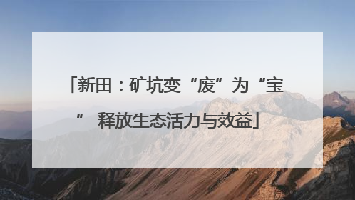 新田：矿坑变“废”为“宝” 释放生态活力与效益