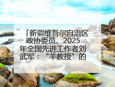 新疆维吾尔自治区政协委员、2025年全国先进工作者刘武军：“羊教授”的“中国芯”