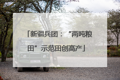 新疆兵团：“两吨粮田”示范田创高产