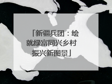 新疆兵团：绘就绿富同兴乡村振兴新图景