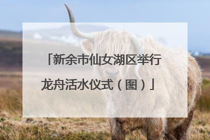 新余市仙女湖区举行龙舟活水仪式（图）