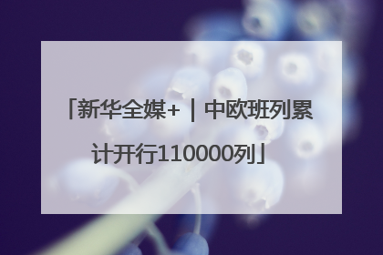 新华全媒+｜中欧班列累计开行110000列