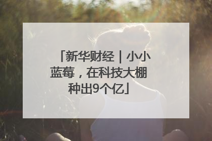 新华财经｜小小蓝莓，在科技大棚种出9个亿