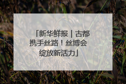 新华鲜报｜古都携手丝路！丝博会绽放新活力