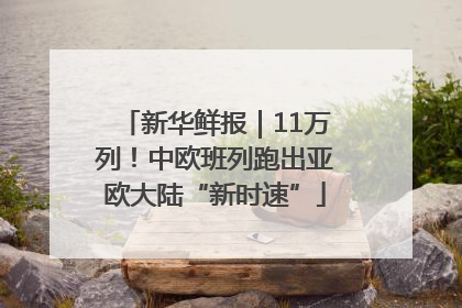新华鲜报｜11万列！中欧班列跑出亚欧大陆“新时速”