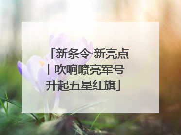 新条令·新亮点丨吹响嘹亮军号 升起五星红旗