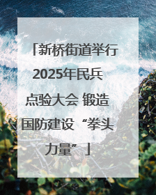 新桥街道举行2025年民兵点验大会 锻造国防建设“拳头力量”