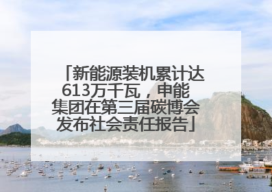 新能源装机累计达613万千瓦，申能集团在第三届碳博会发布社会责任报告