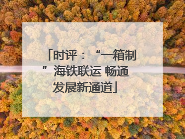 时评：“一箱制”海铁联运 畅通发展新通道