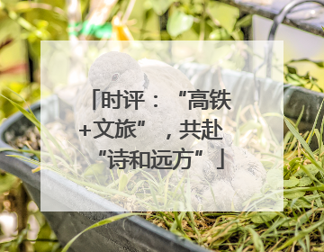 时评：“高铁+文旅”，共赴“诗和远方”