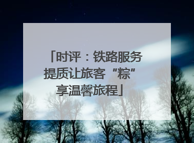 时评：铁路服务提质让旅客“粽”享温馨旅程