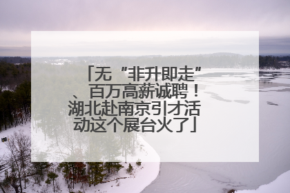 无“非升即走”、百万高薪诚聘！湖北赴南京引才活动这个展台火了