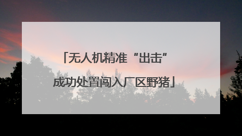 无人机精准“出击” 成功处置闯入厂区野猪