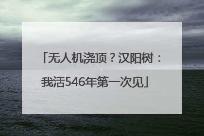 无人机浇顶？汉阳树：我活546年第一次见