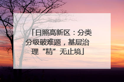 日照高新区：分类分级破难题，基层治理“精”无止境