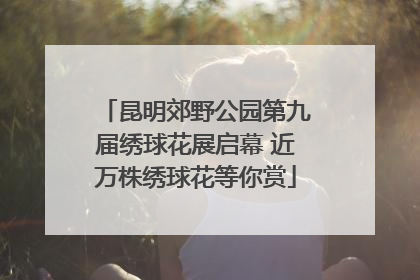 昆明郊野公园第九届绣球花展启幕 近万株绣球花等你赏