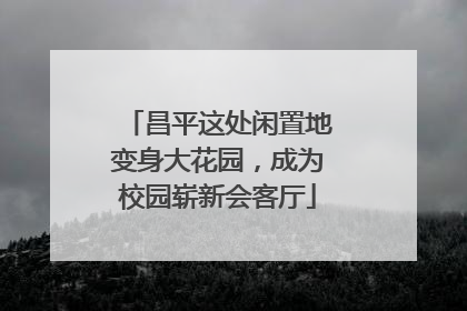 昌平这处闲置地变身大花园，成为校园崭新会客厅
