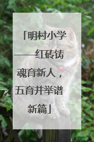 明村小学——红砖铸魂育新人，五育并举谱新篇