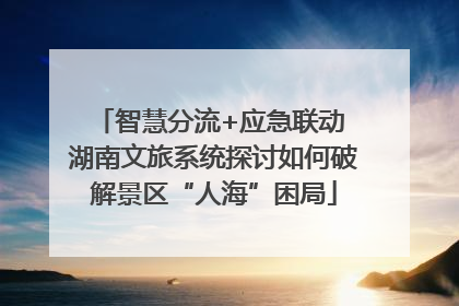 智慧分流+应急联动 湖南文旅系统探讨如何破解景区“人海”困局