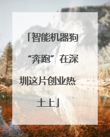 智能机器狗“奔跑”在深圳这片创业热土上