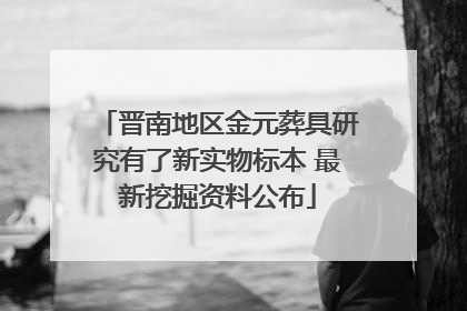 晋南地区金元葬具研究有了新实物标本 最新挖掘资料公布