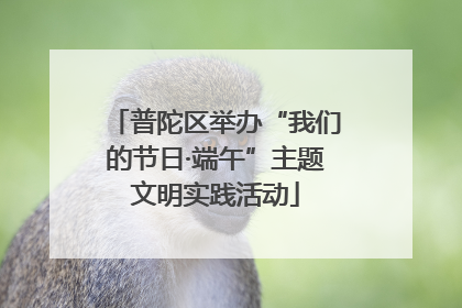 普陀区举办“我们的节日·端午”主题文明实践活动